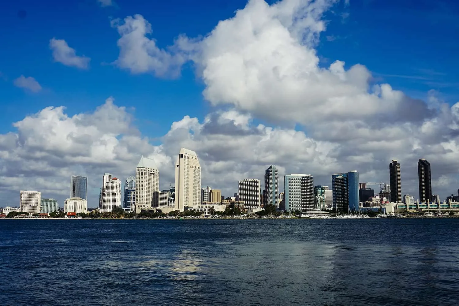 The San Diego skyline across the bay